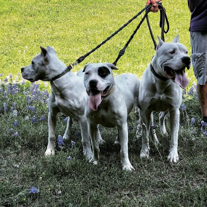 Grand Park Animal Clinic 12
