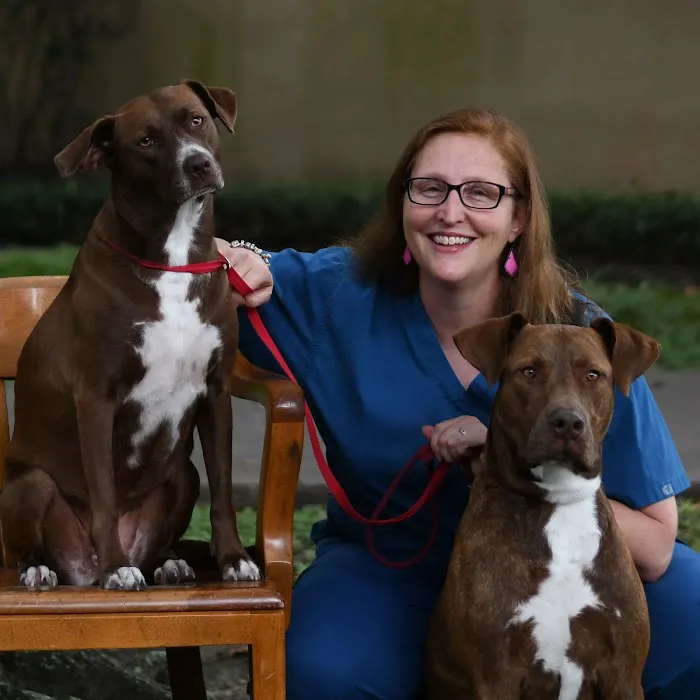 Grand Park Animal Clinic 12