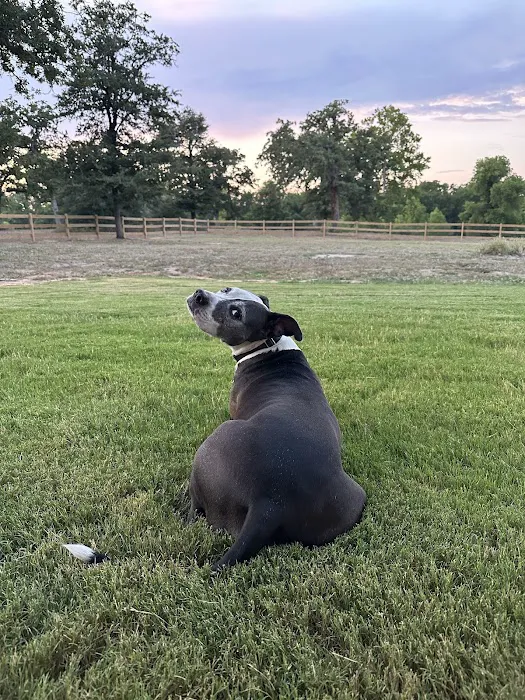 Grand Park Animal Clinic 12