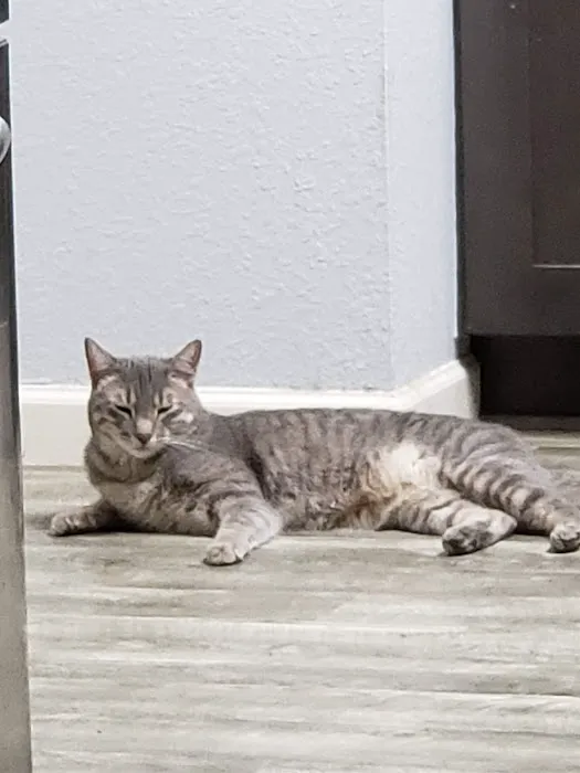 Highland Knolls Veterinary Hospital 12