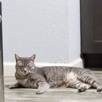 Highland Knolls Veterinary Hospital ico