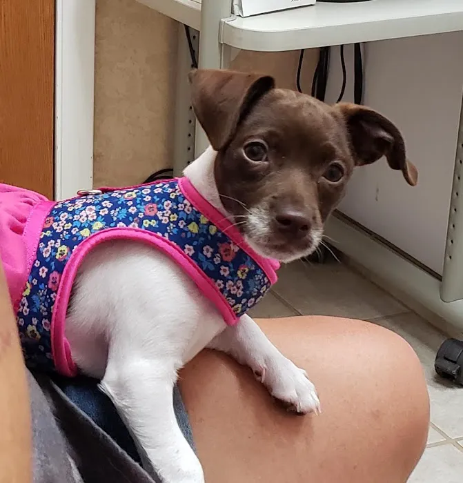 Animal Hospital of Katy 12