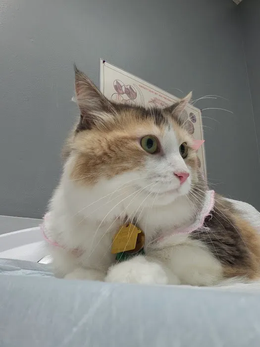 Parkglen Animal Clinic 12