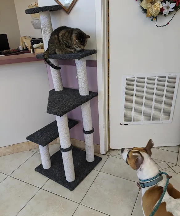 Parkglen Animal Clinic 12