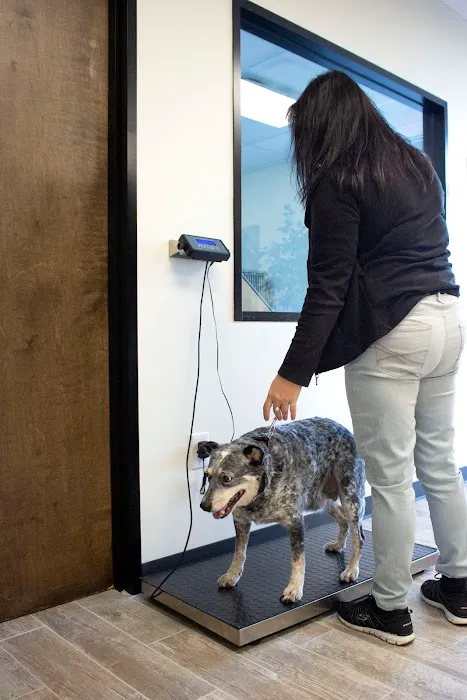 Alvin Animal Clinic 12