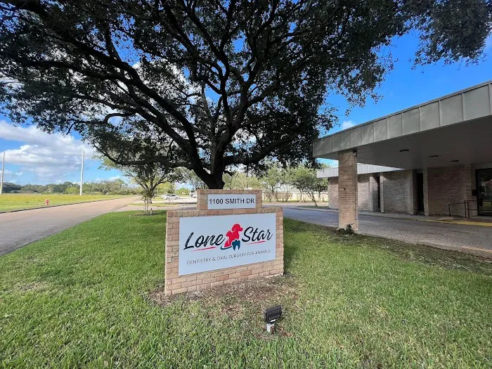 Lone Star Dentistry & Oral Surgery for Animals 12