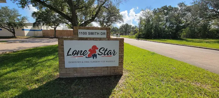 Lone Star Dentistry & Oral Surgery for Animals 12