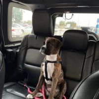 Hwy 6 Veterinary Clinic ico