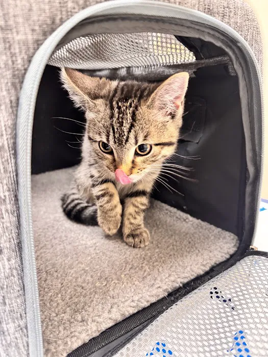 Vetco Total Care Animal Hospital 12