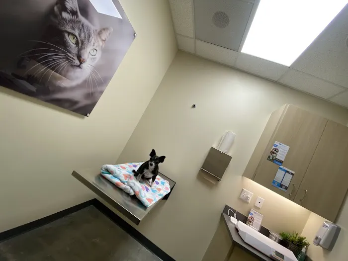 Vetco Total Care Animal Hospital 12