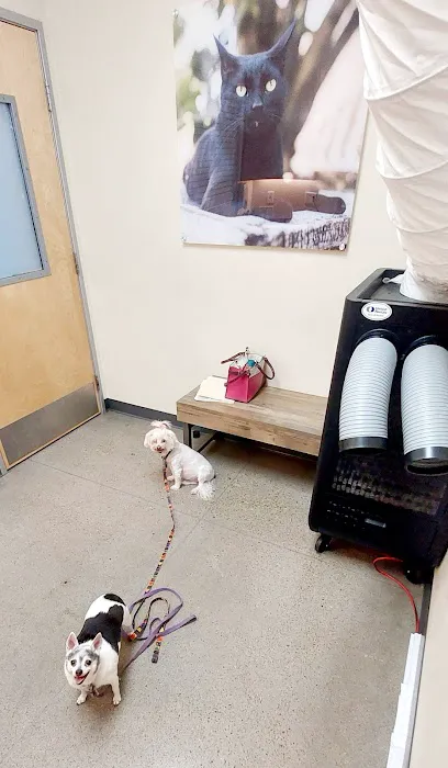 Vetco Total Care Animal Hospital 12