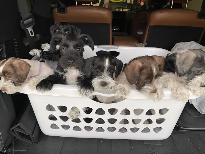 Vetco Total Care Animal Hospital 12
