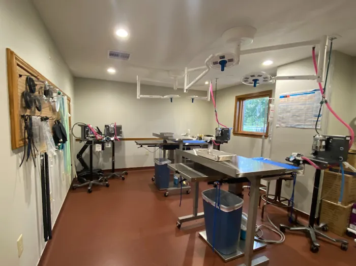 Chachere Veterinary Clinic PC 12