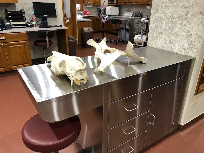 Chachere Veterinary Clinic PC 12