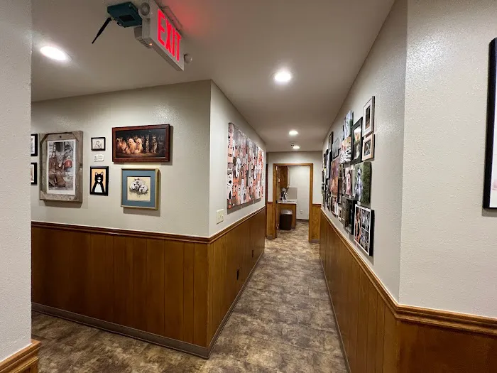 Chachere Veterinary Clinic PC 12