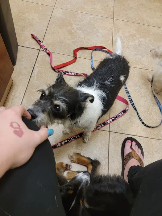 Fannett Veterinary Clinic 12