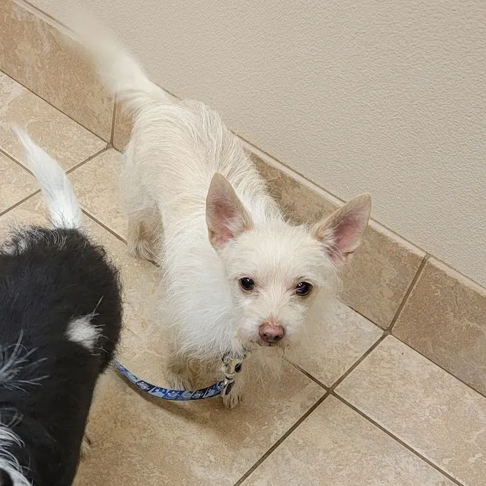 Fannett Veterinary Clinic 12