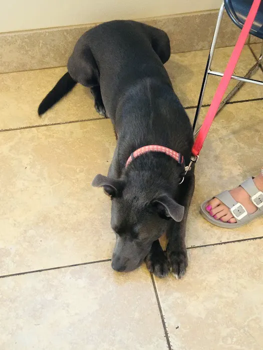 Fannett Veterinary Clinic 12