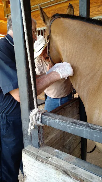 Fannett Veterinary Clinic 12