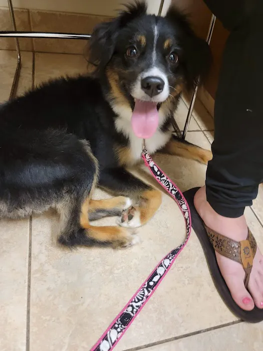 Fannett Veterinary Clinic 12