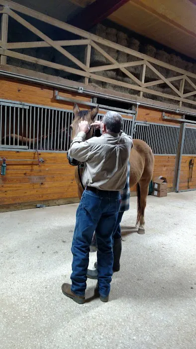 Equine Medicine & Surgery 12