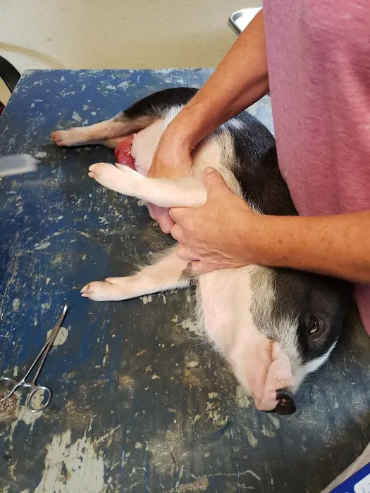Riceland Veterinary Clinic 12