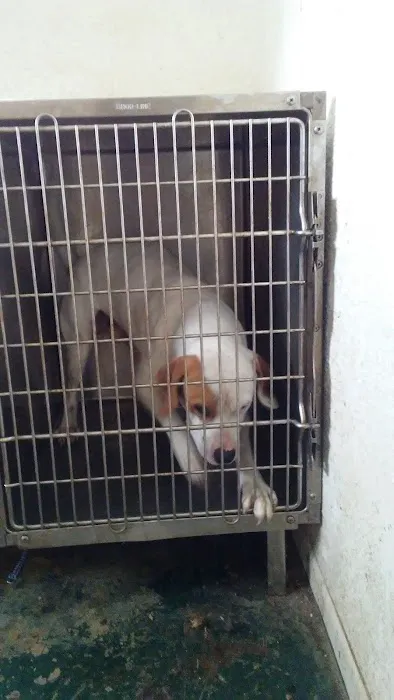 Riceland Veterinary Clinic 12