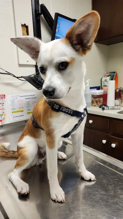 Neighborhood Veterinary Centers 12