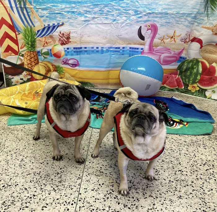 Neighborhood Veterinary Centers 12
