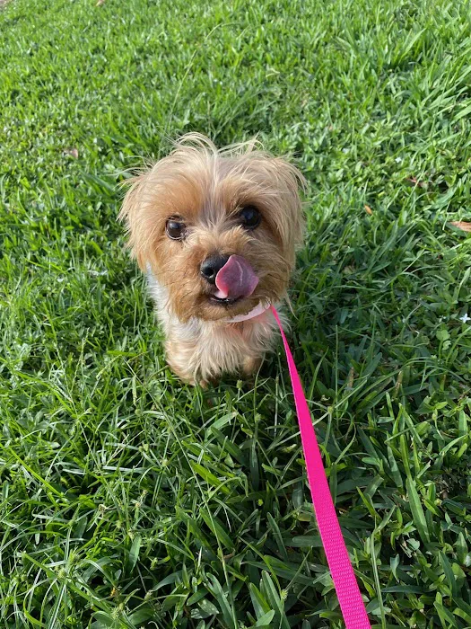 Neighborhood Veterinary Centers 12