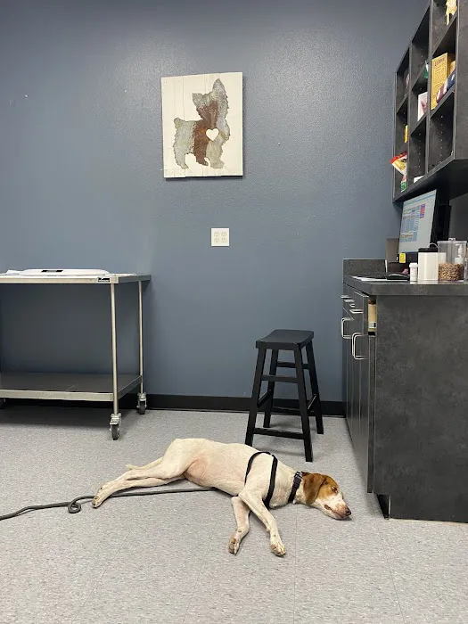 Manvel Lakes Animal Hospital 8