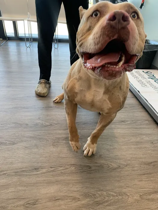 EasyVet Veterinarian Iowa Colony 12