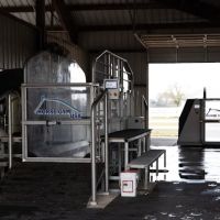 Smith Equine Performance ico