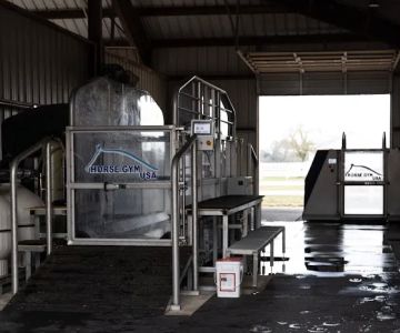Smith Equine Performance
