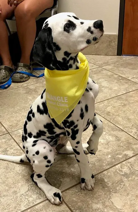 Triangle Animal Clinic 12