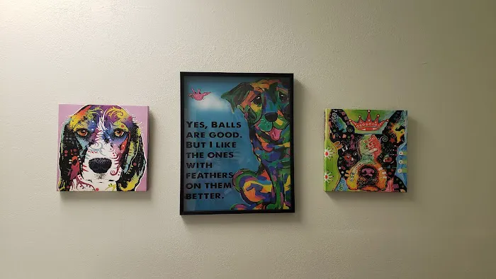 Thomas Animal Clinic 3