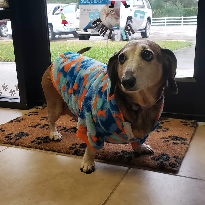 Thomas Animal Clinic 6