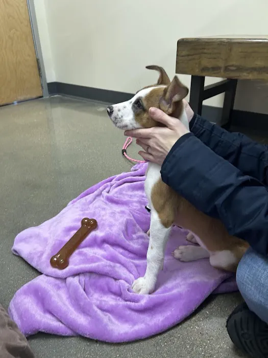 Vetco Total Care Animal Hospital 12