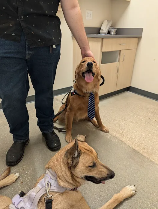 Vetco Total Care Animal Hospital 12