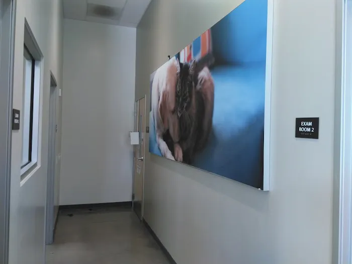 Vetco Total Care Animal Hospital 12