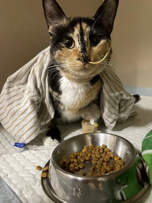 Emergency Pet Care of Texas 12
