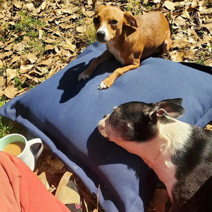 Emergency Pet Care of Texas 12