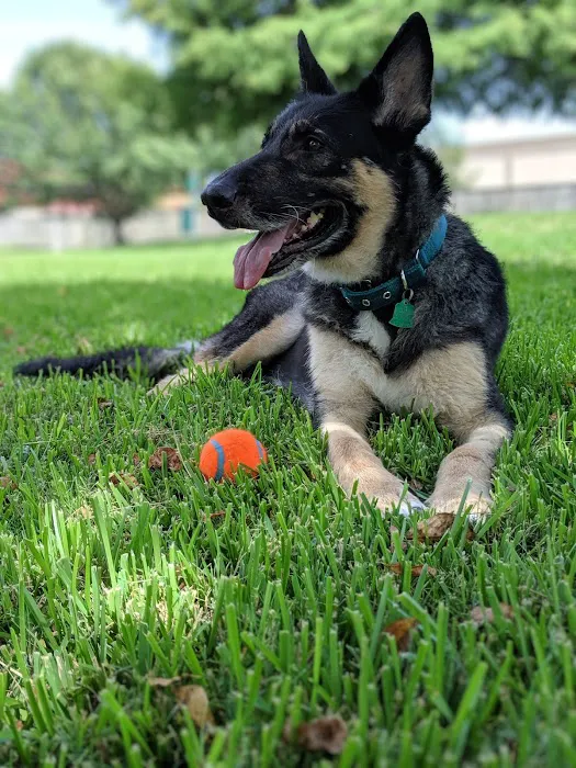 Emergency Pet Care of Texas 12