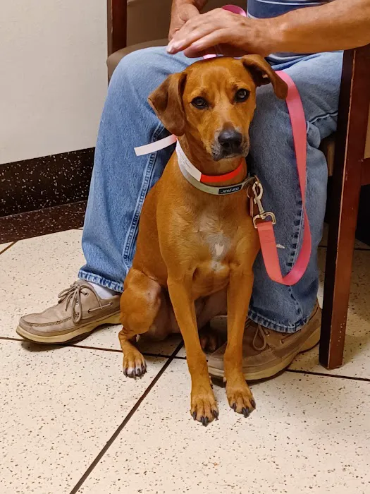 Emergency Pet Care of Texas 12