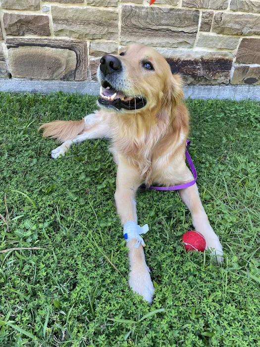 Emergency Pet Care of Texas 12