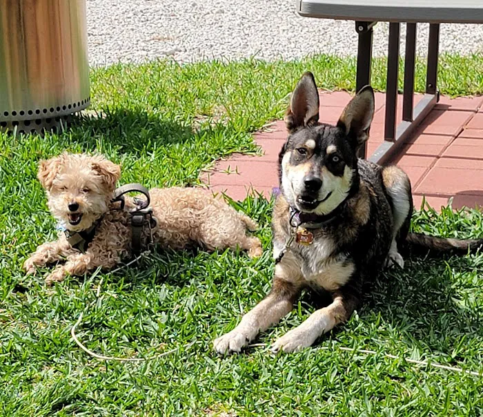 FM 1488 Animal Medical Center 12