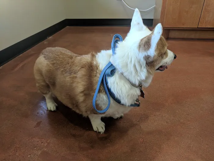 FM 1488 Animal Medical Center 12