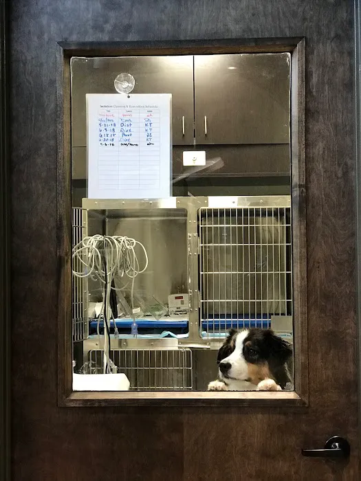 Stone Ridge Veterinary Medical Center & Pet Resort 12