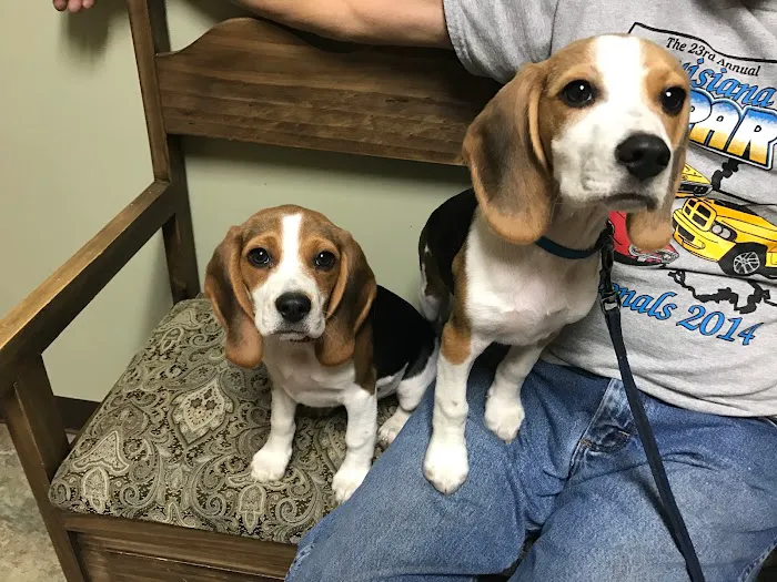 Stone Ridge Veterinary Medical Center & Pet Resort 12