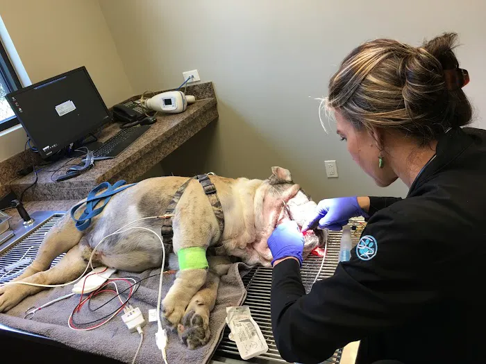 Stone Ridge Veterinary Medical Center & Pet Resort 12